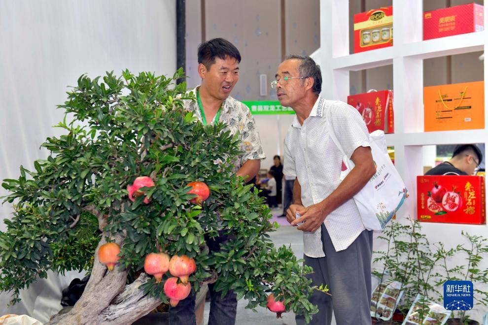 js金龙电子